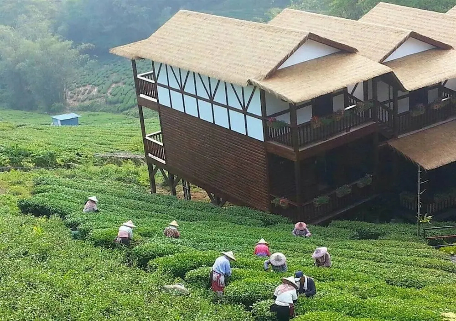 Alishan Mountain B&B