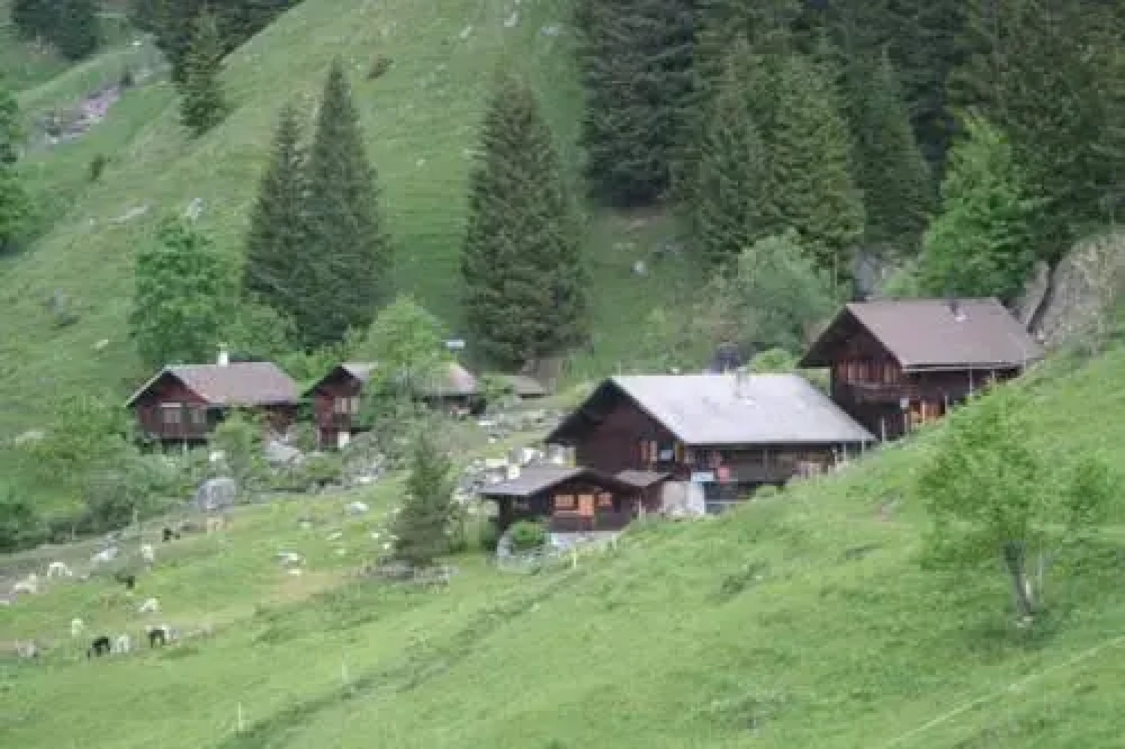 Berggasthaus Golderli