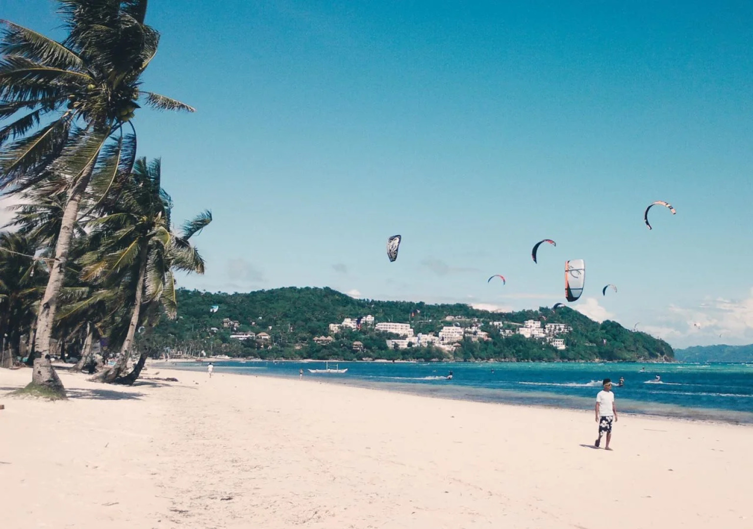 The Lazy Dog Bed & Breakfast