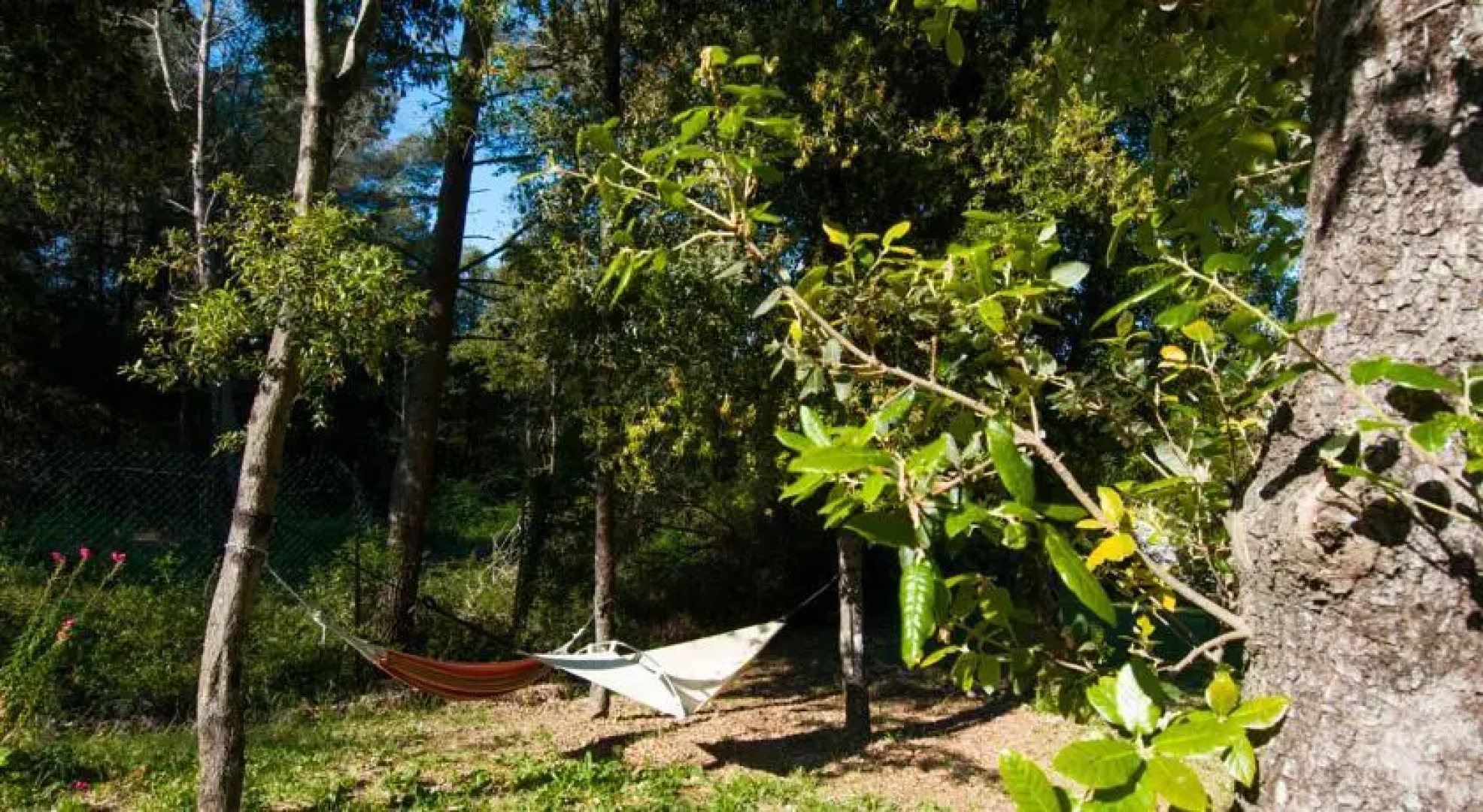 B&B La Casa Nel Bosco