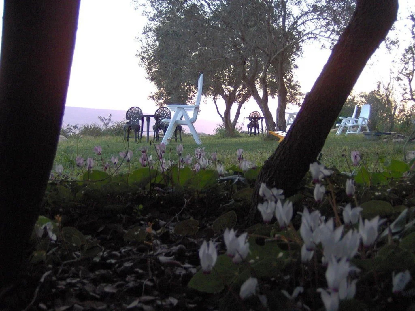 Lakshmi Vacation Apartments