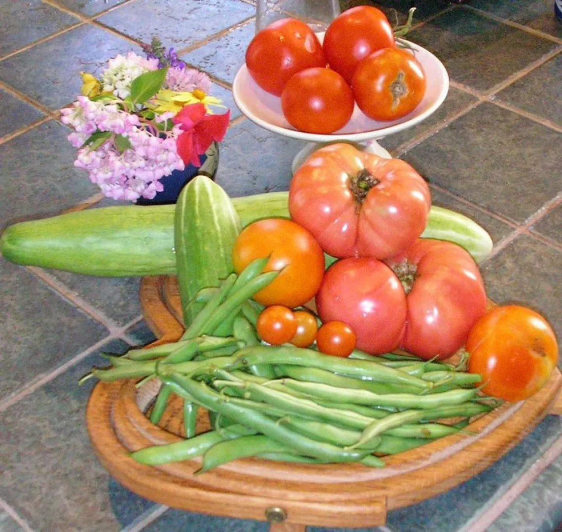 The Pines of Dresden B&B