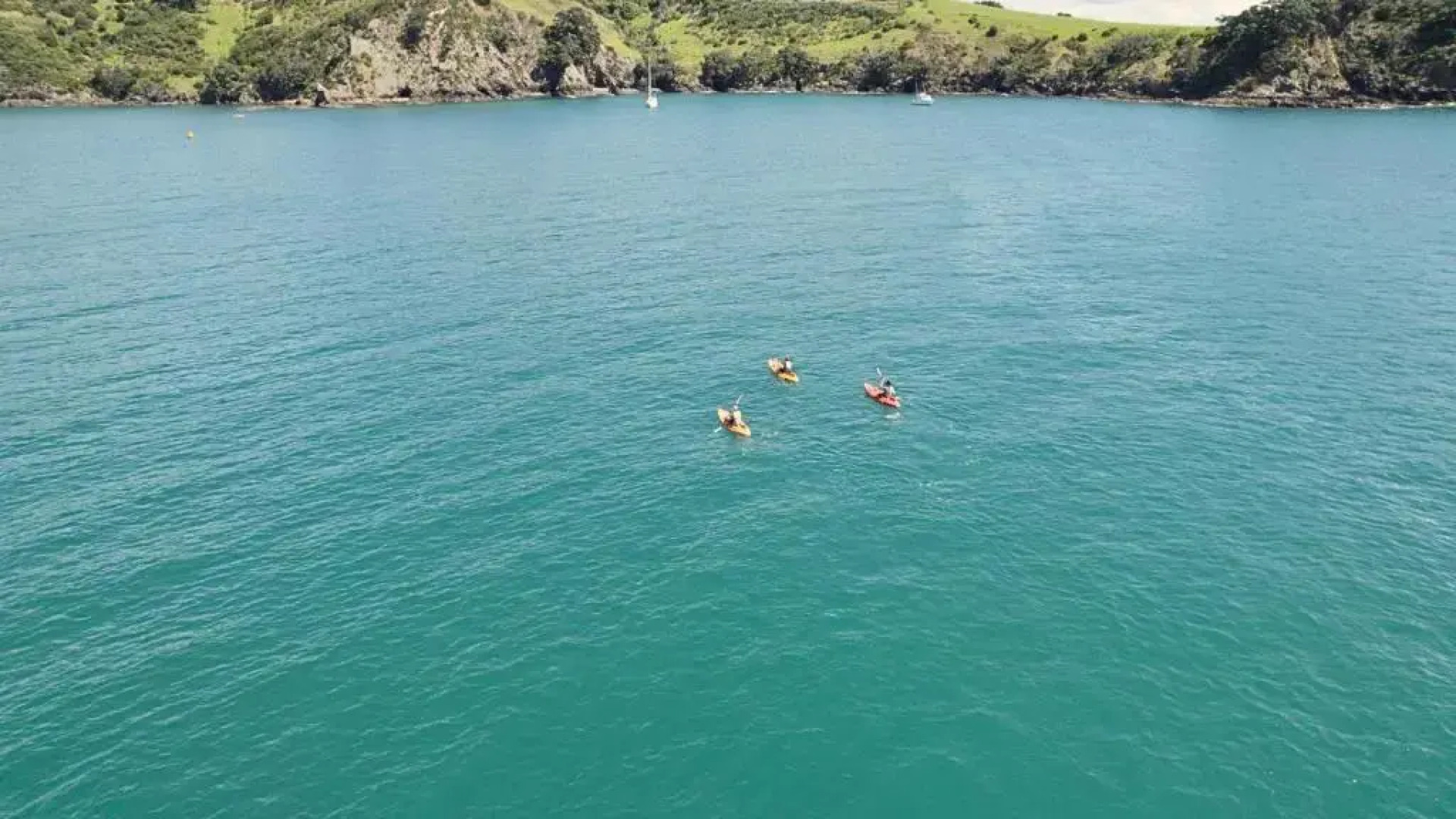 Waiheke Backpackers Hostel