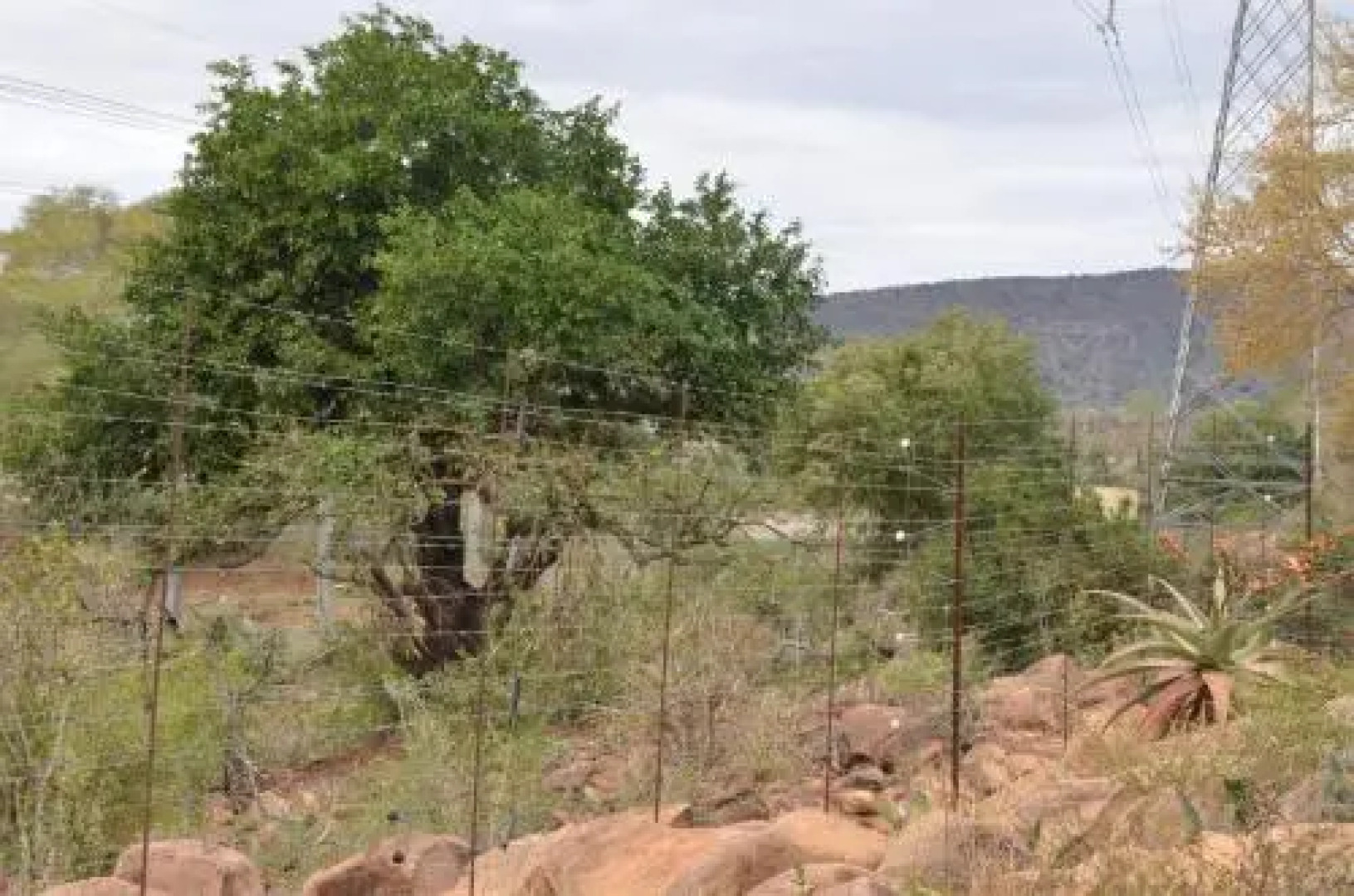 Stoep At Steenbok Self Catering