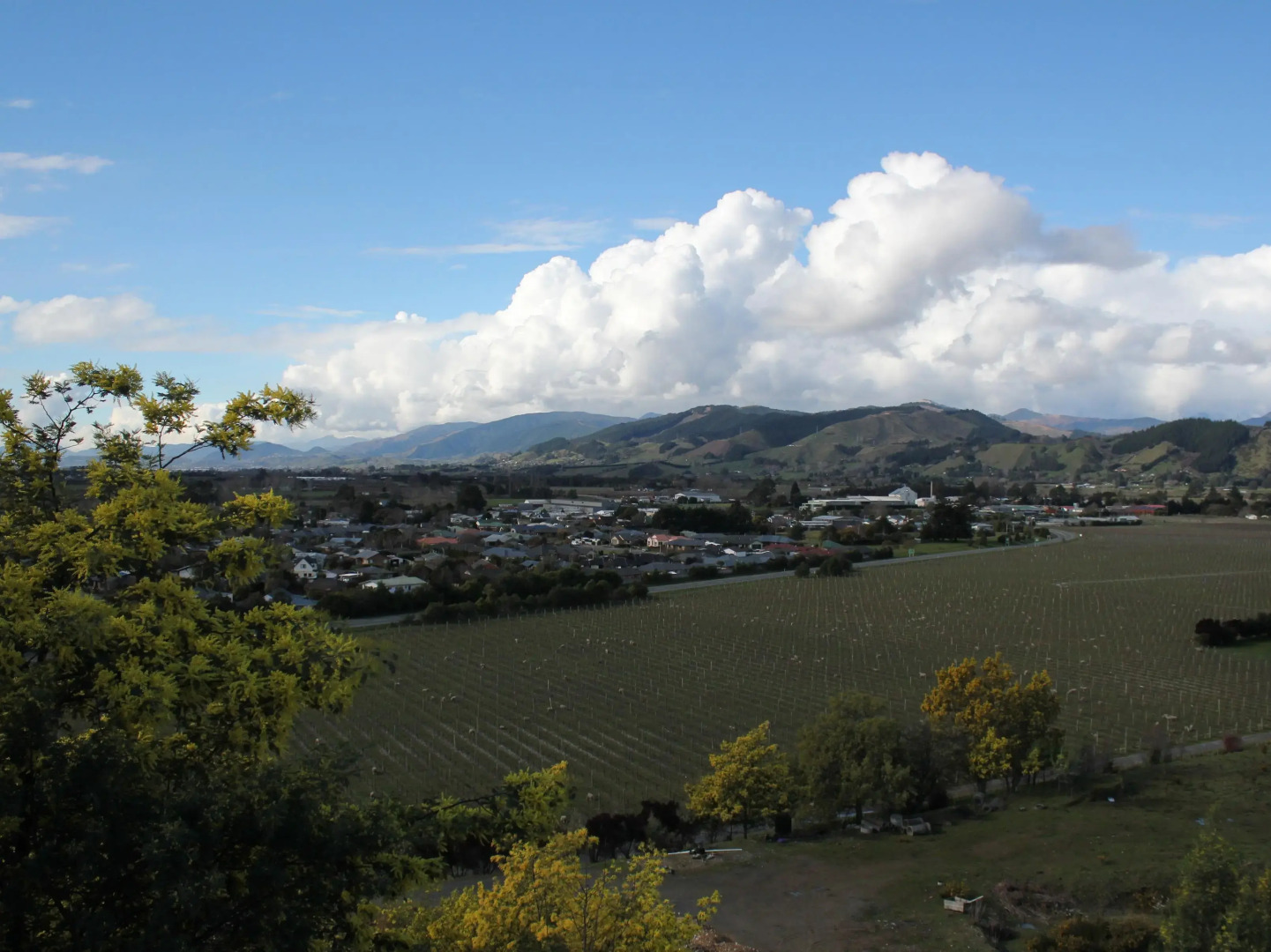 Brightwater Views Boutique Apartment