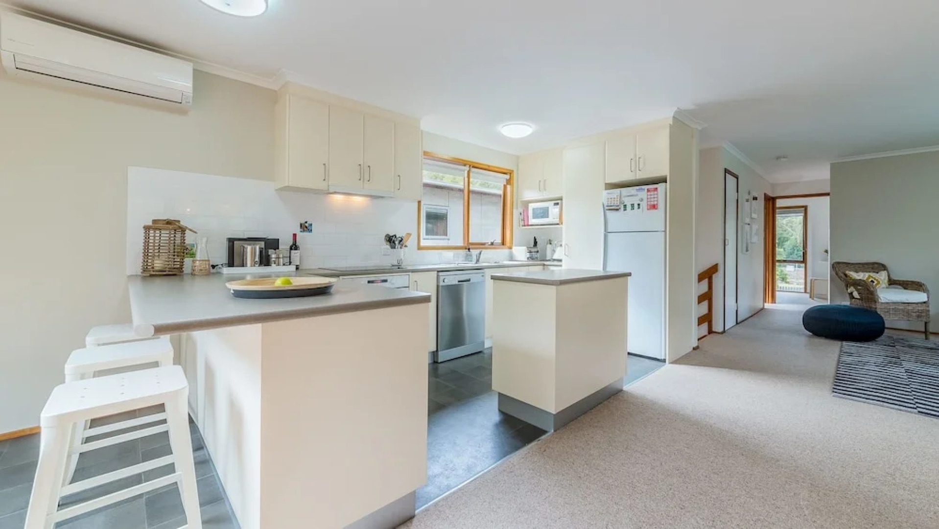 Florida Trees - Surf Side