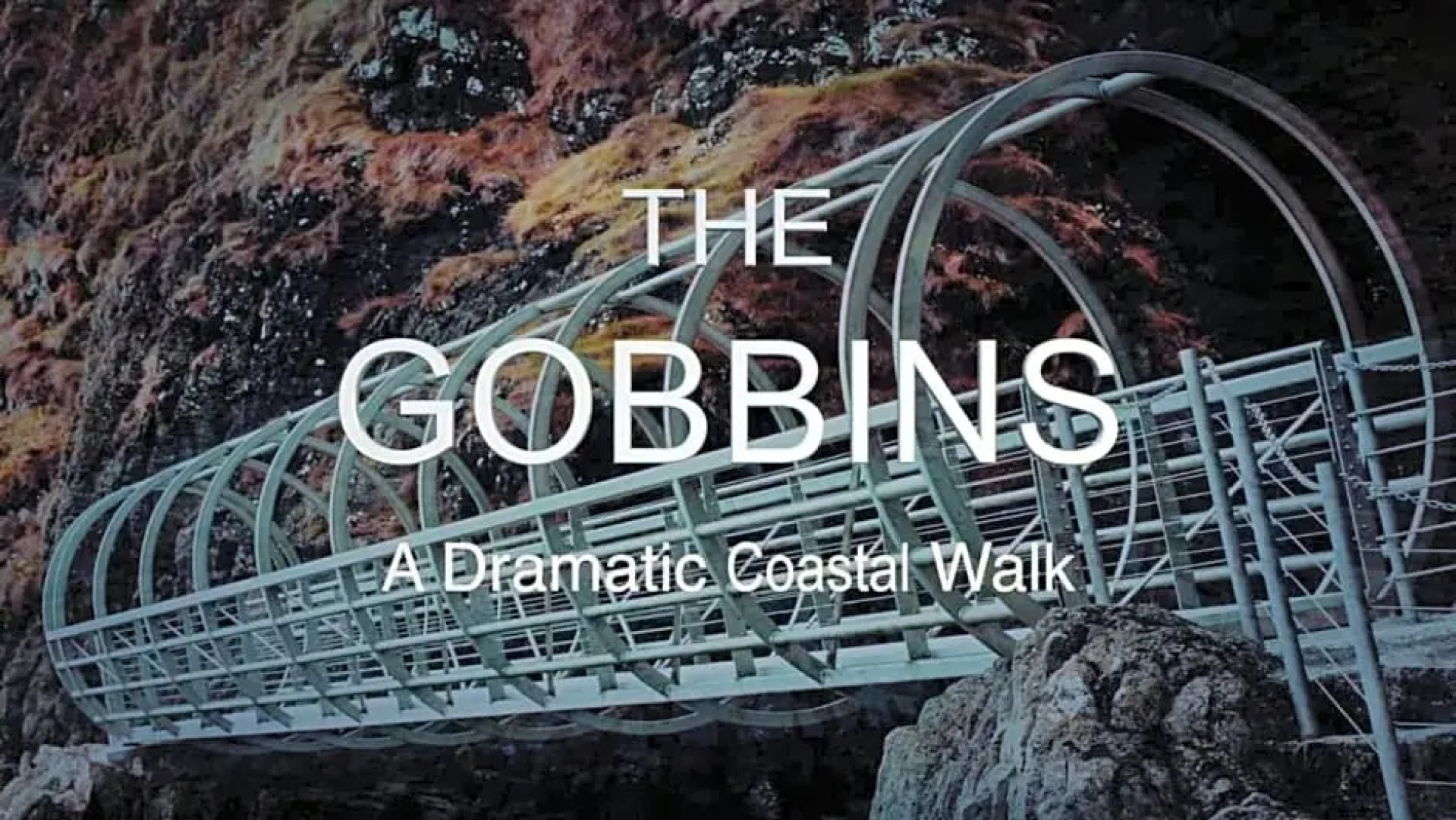 Whitehead Bed and Breakfast