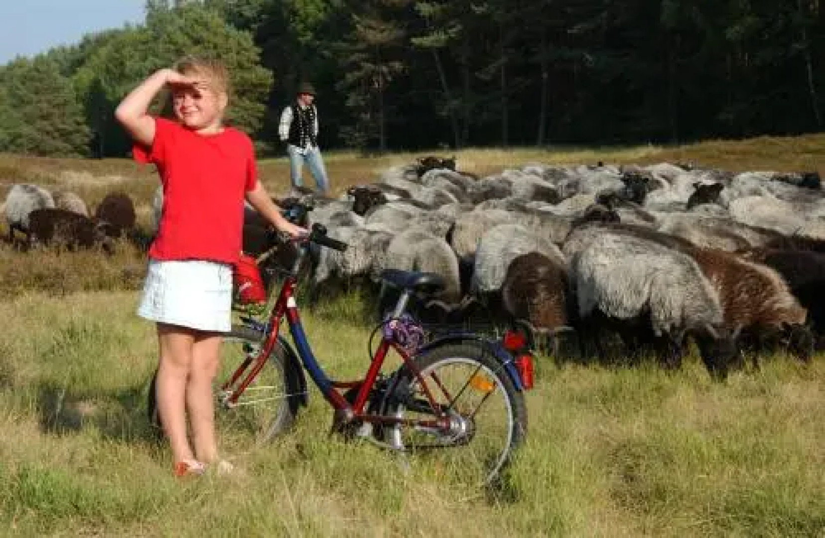 Landhotel Heiner Meyer