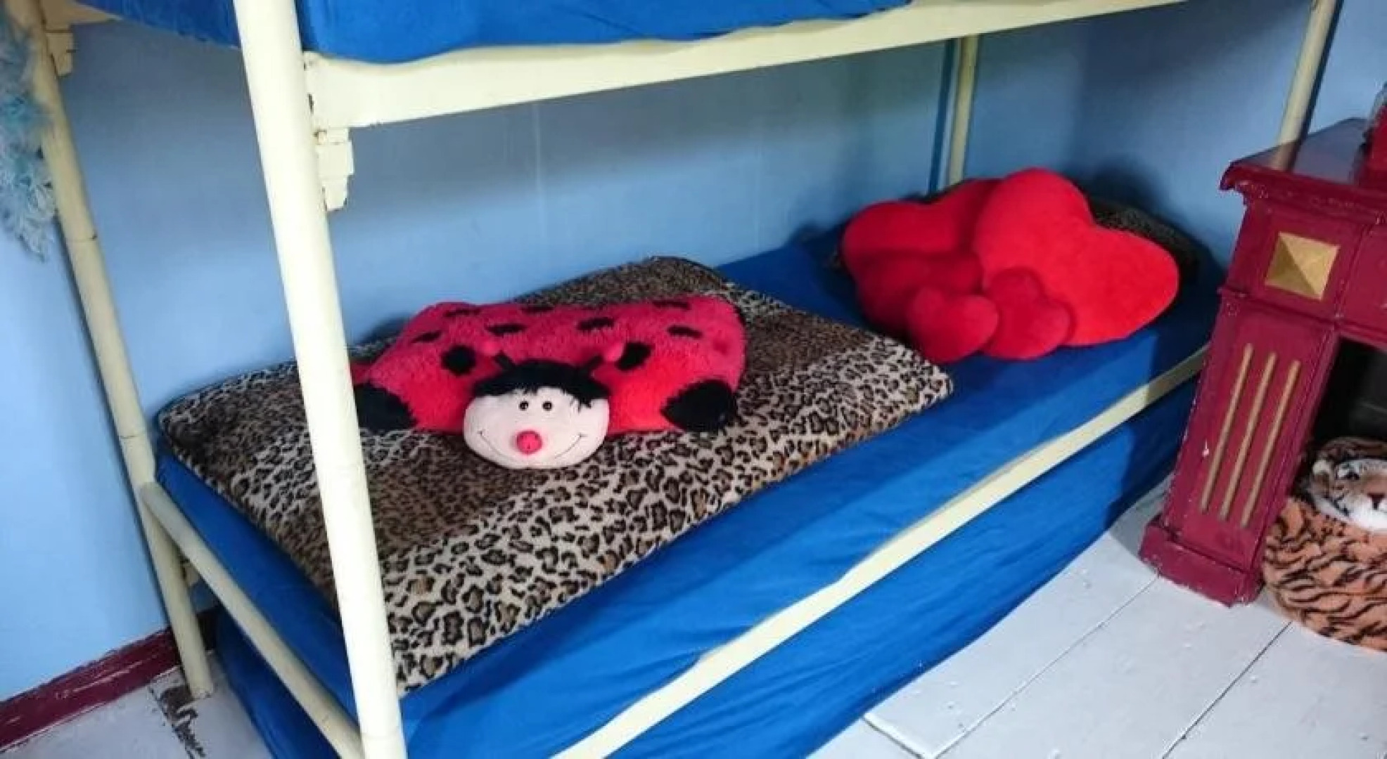 Koningin van Pieterburen