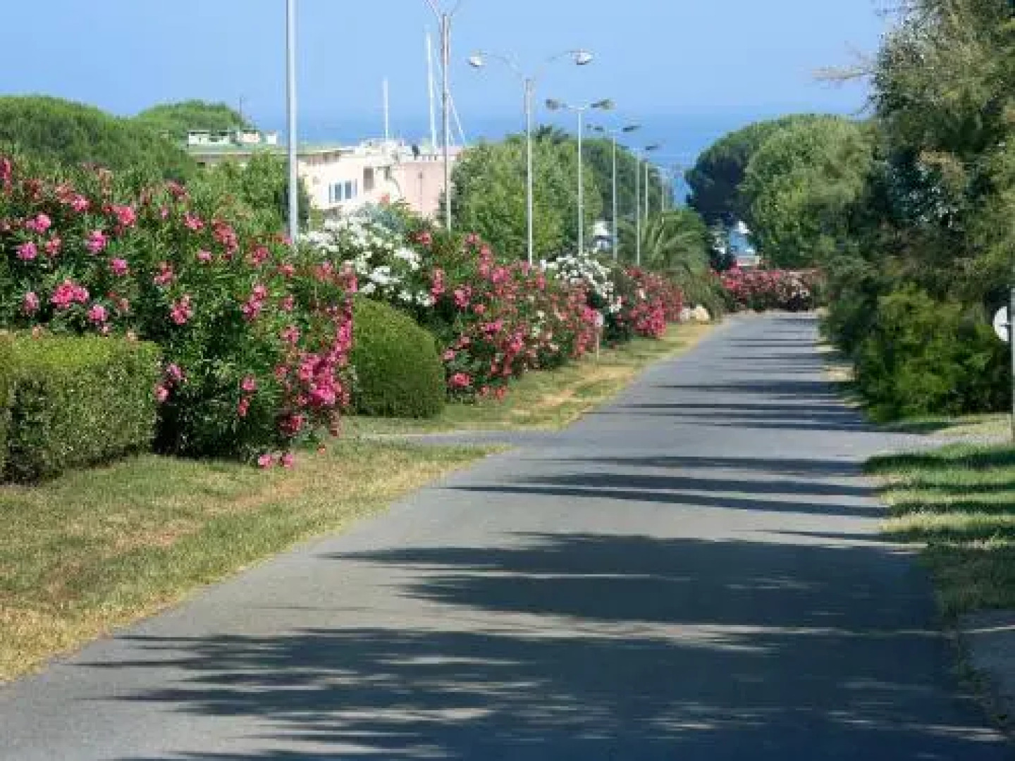 Apartment les Oiseaux.2
