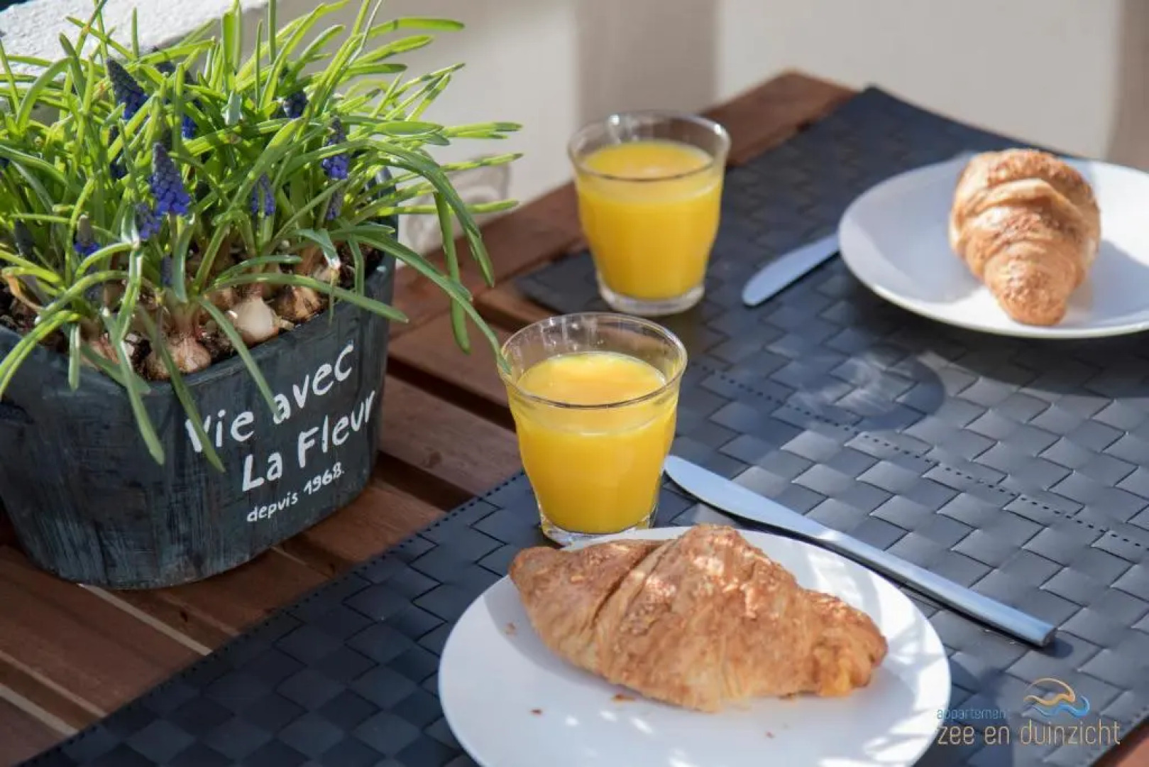 Appartement Zee En Duinzicht 78