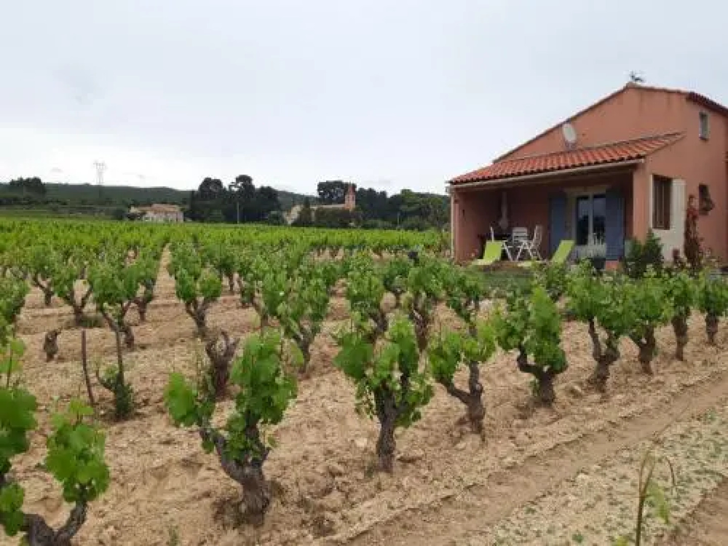 Gîte " Au Milieu des Vignes "