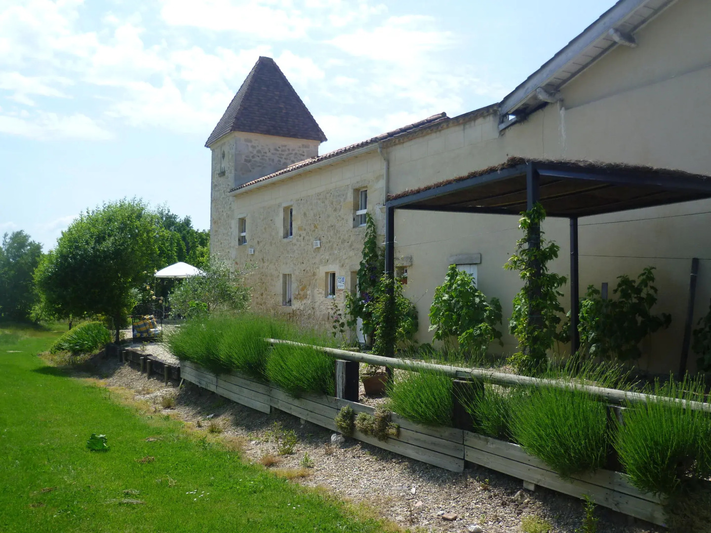 Renovated Dovecot With Pool, in the Vineyards Near Bordeaux