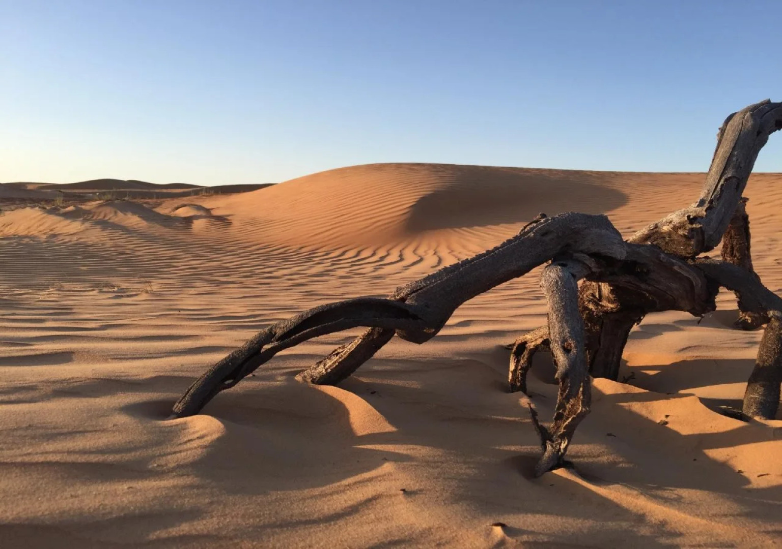 Oriental Nights Rest House