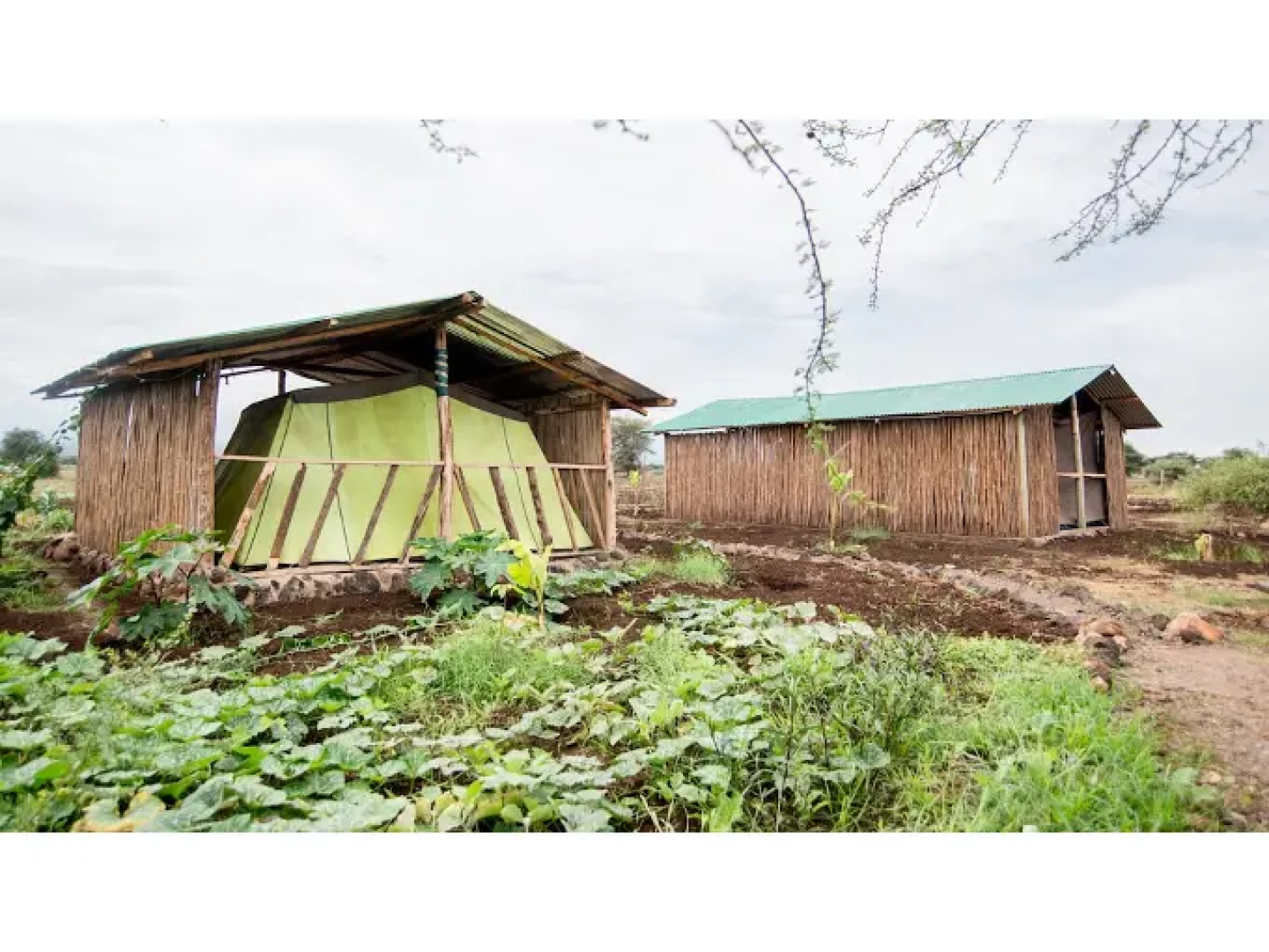 WE4Kenya Guesthouses and Farm