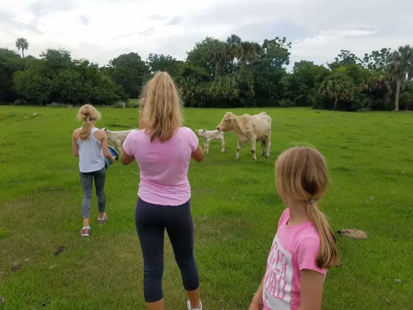 Beautiful Vacation Home CBC FARMS