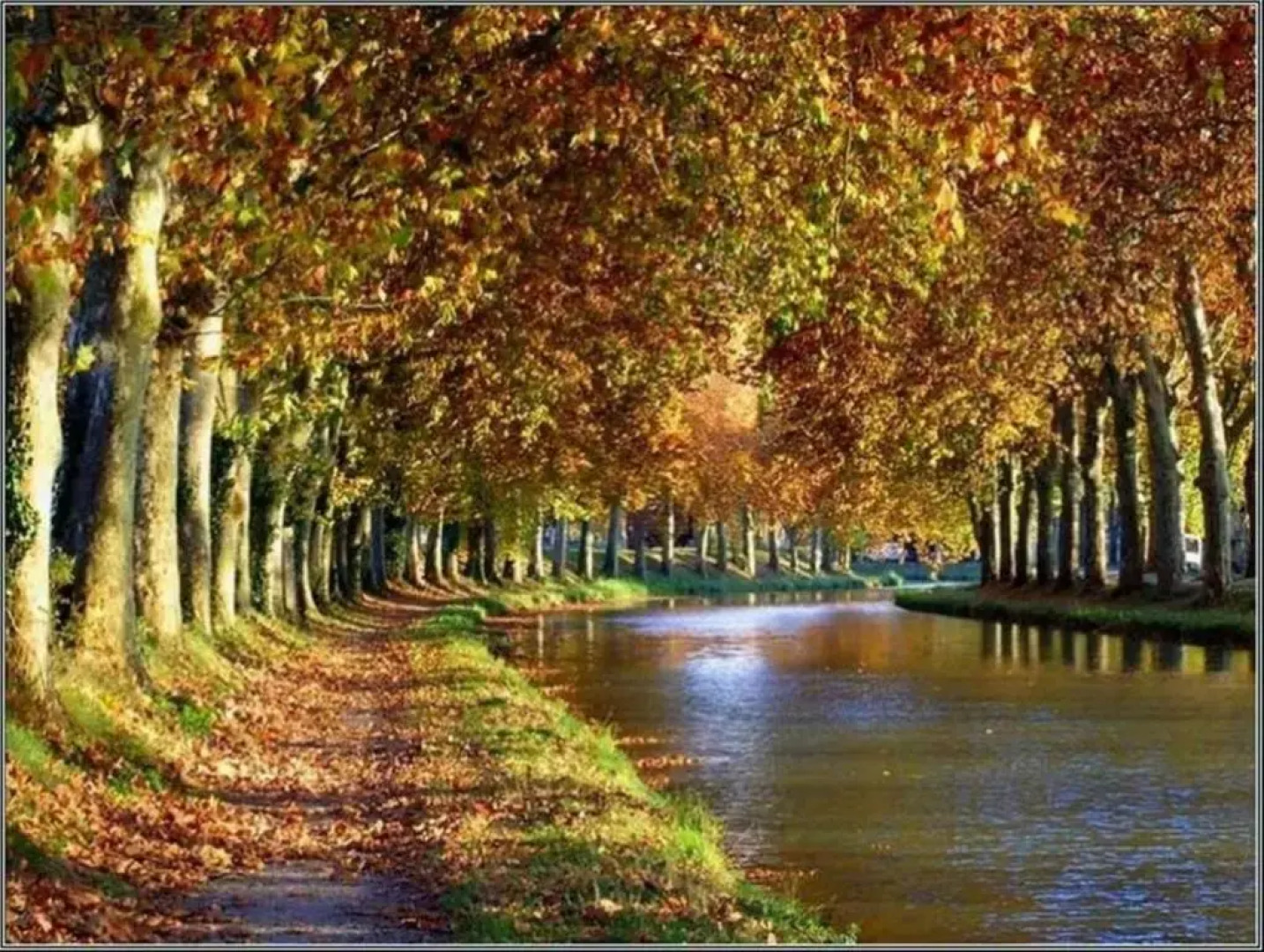 Belle villa 2 chambres terrasse parking privatif dans résidence sécurisée avec piscine commune 800 m de la mer LRCS87