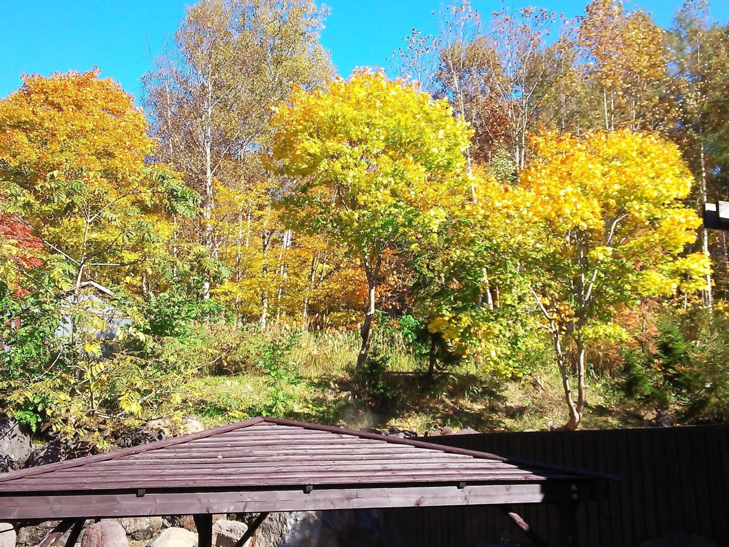 Niseko Annupuri Onsen Yugokorotei