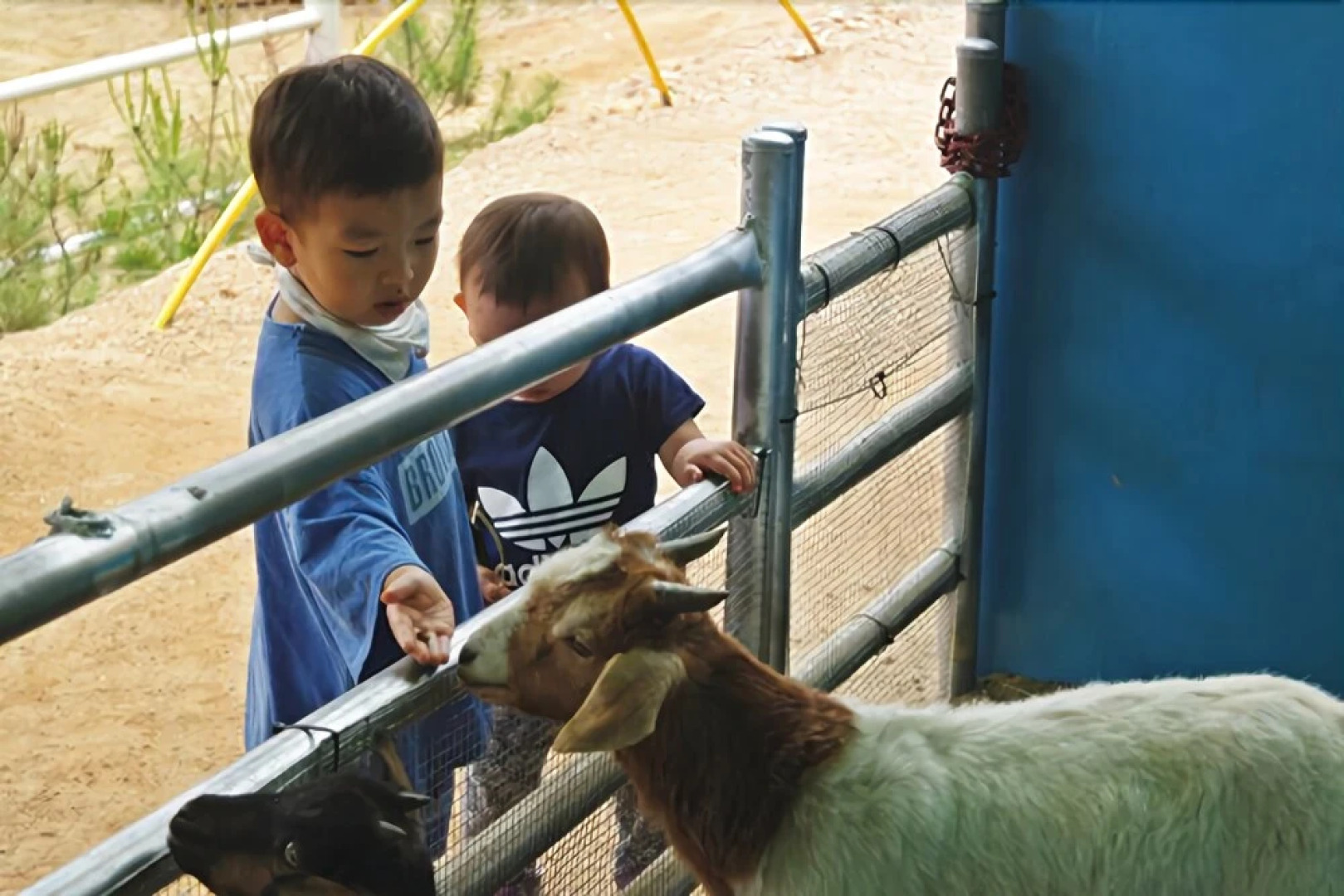 Taean Attica Pension