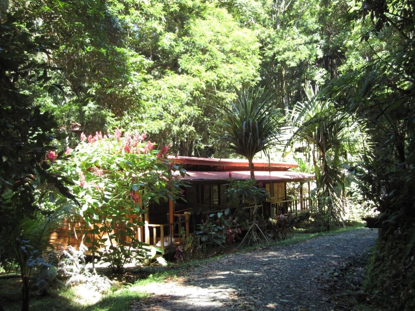 Samasati Yoga & Wellness Retreat