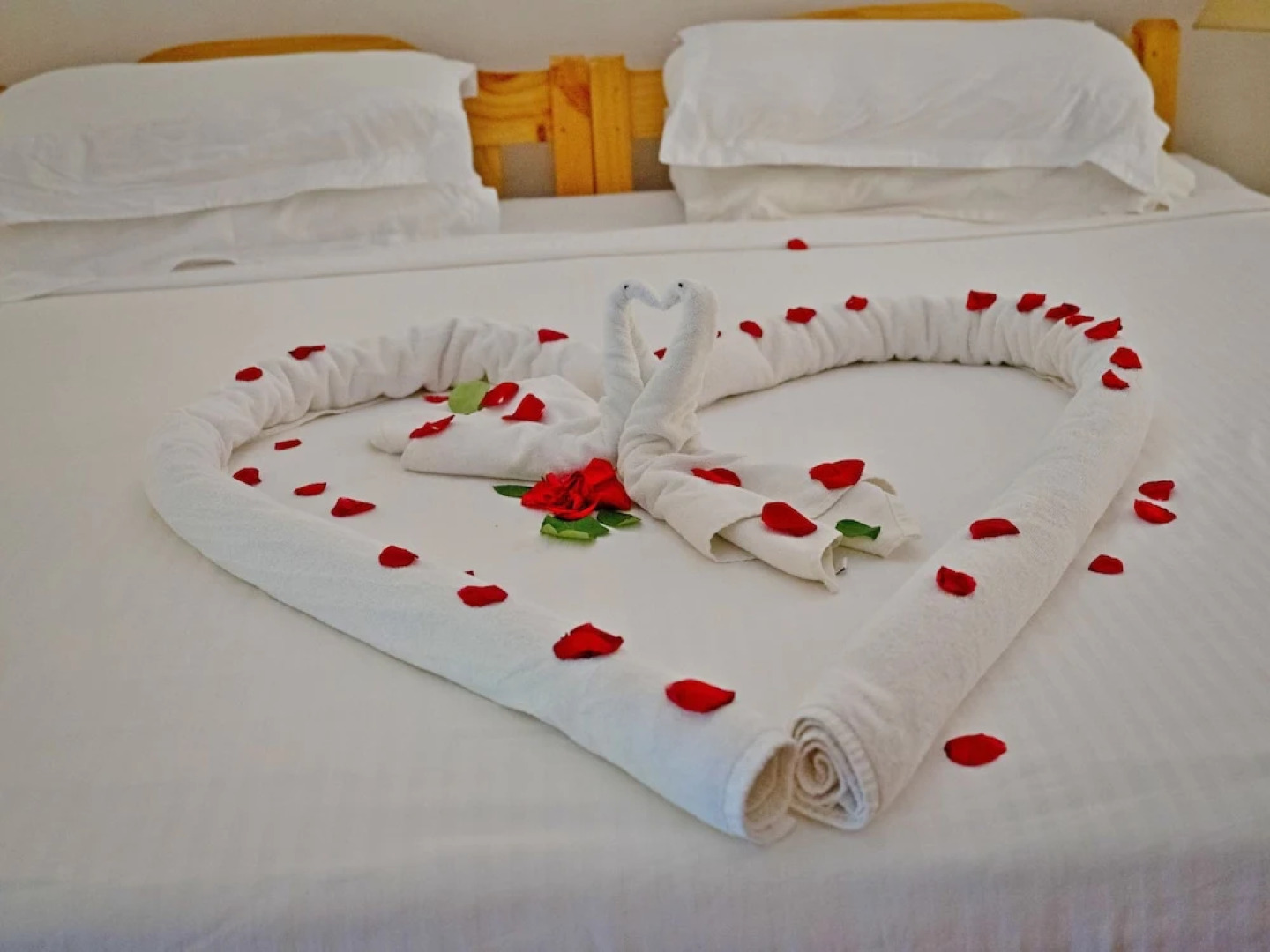 Spice Village-CGH Earth