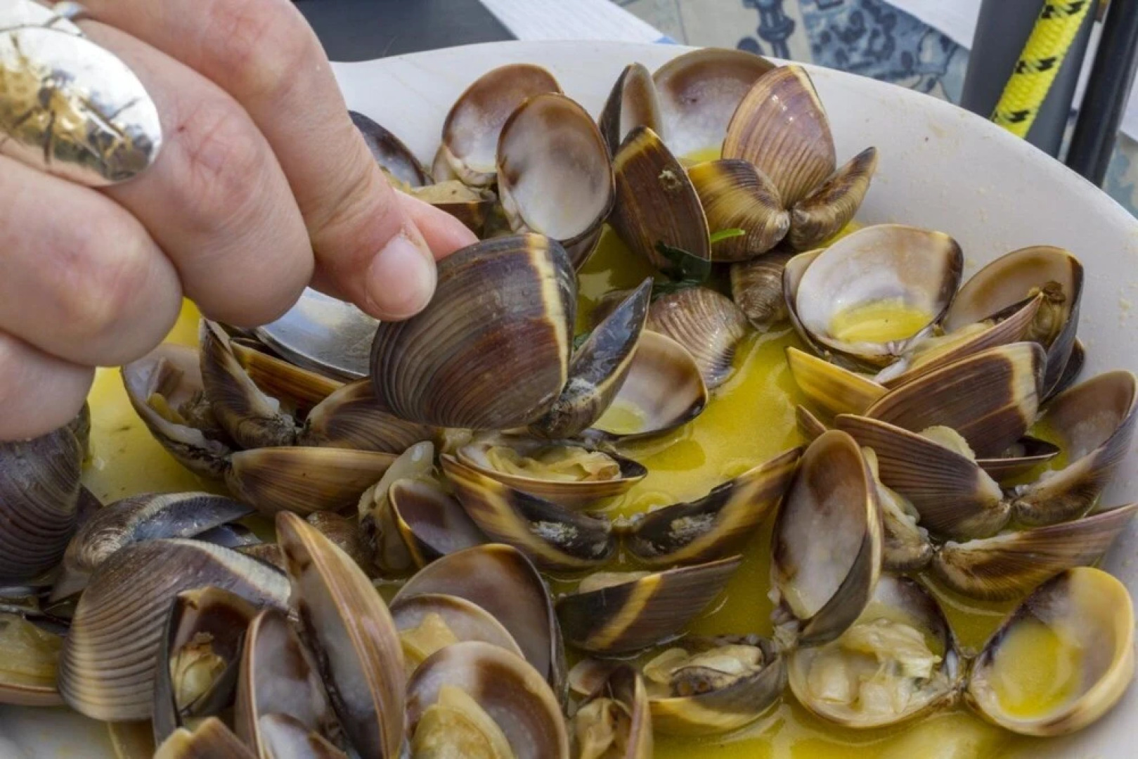 Marina Park Apartments by Seewest