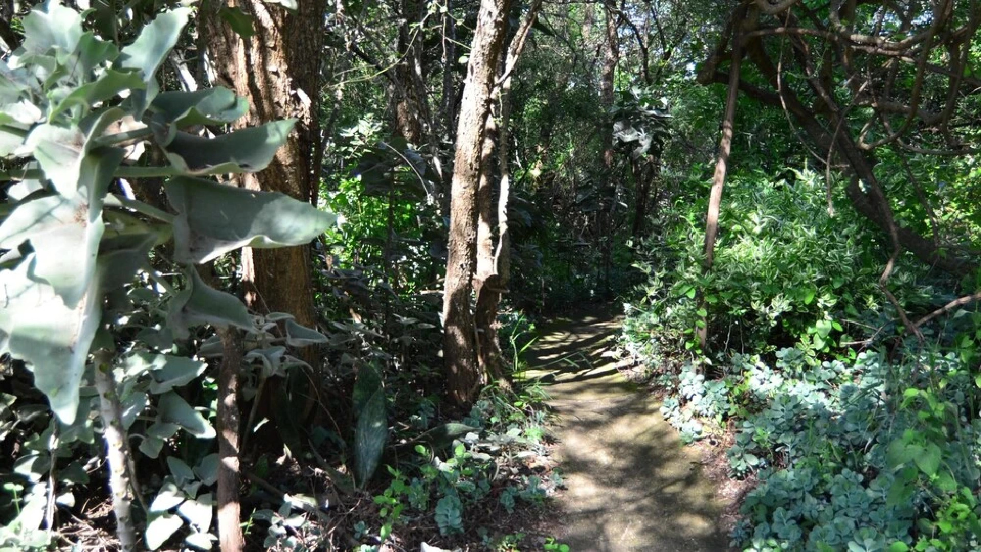 Pure Wilderness in Amanzimlotzi Riverside Bush Tent in Limpopo, Kruger Park