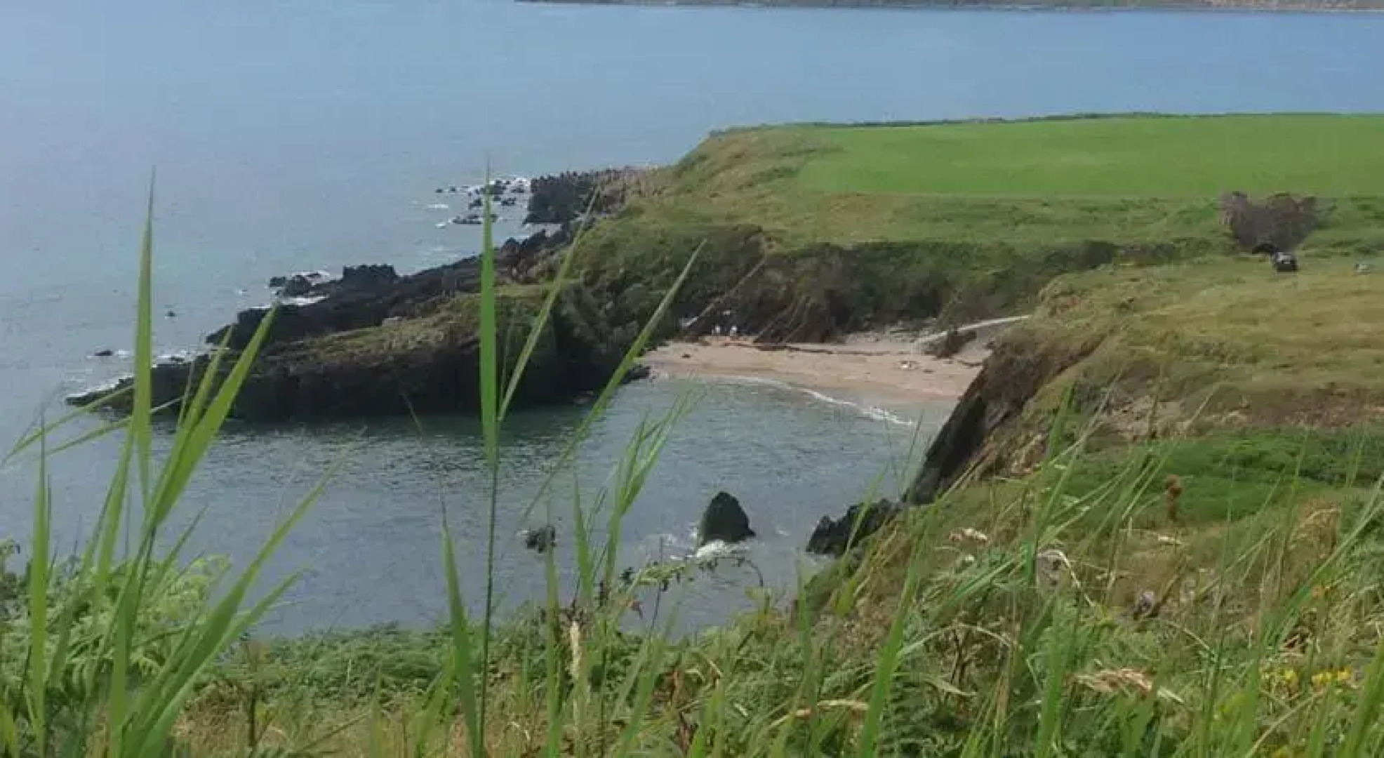 Ardmore Bed and Breakfast