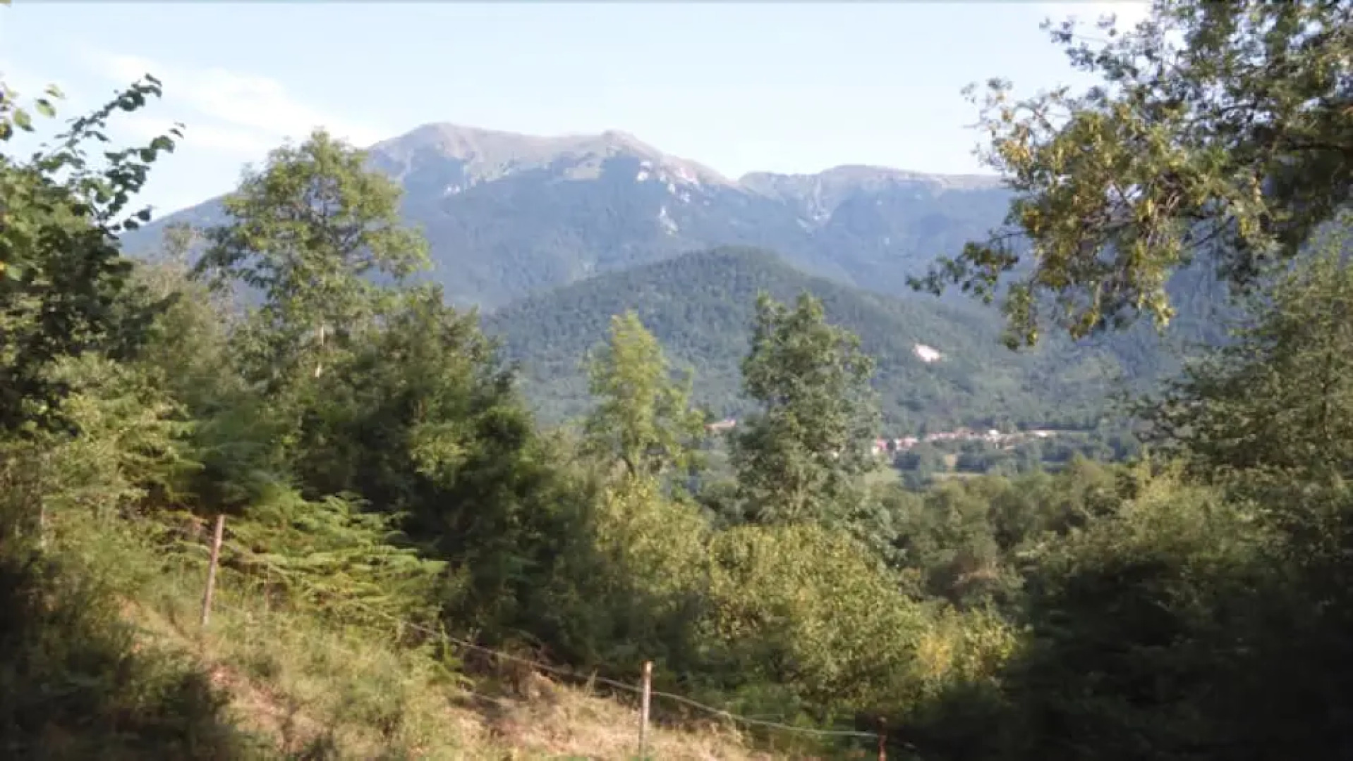 Les Insolites d'Eljie