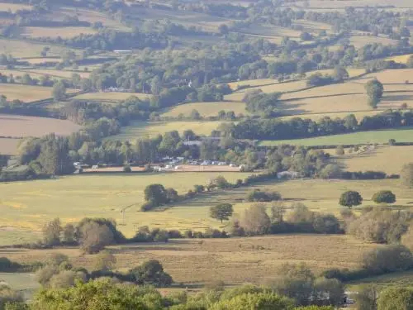 The Farm Snead Bed & Breakfast