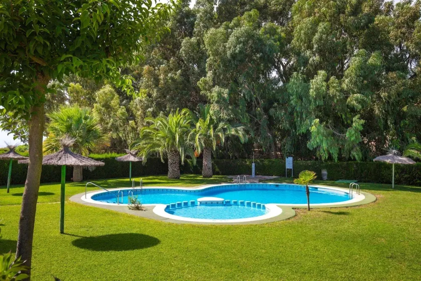 Coral Seashell Ground Floor by Fidalsa