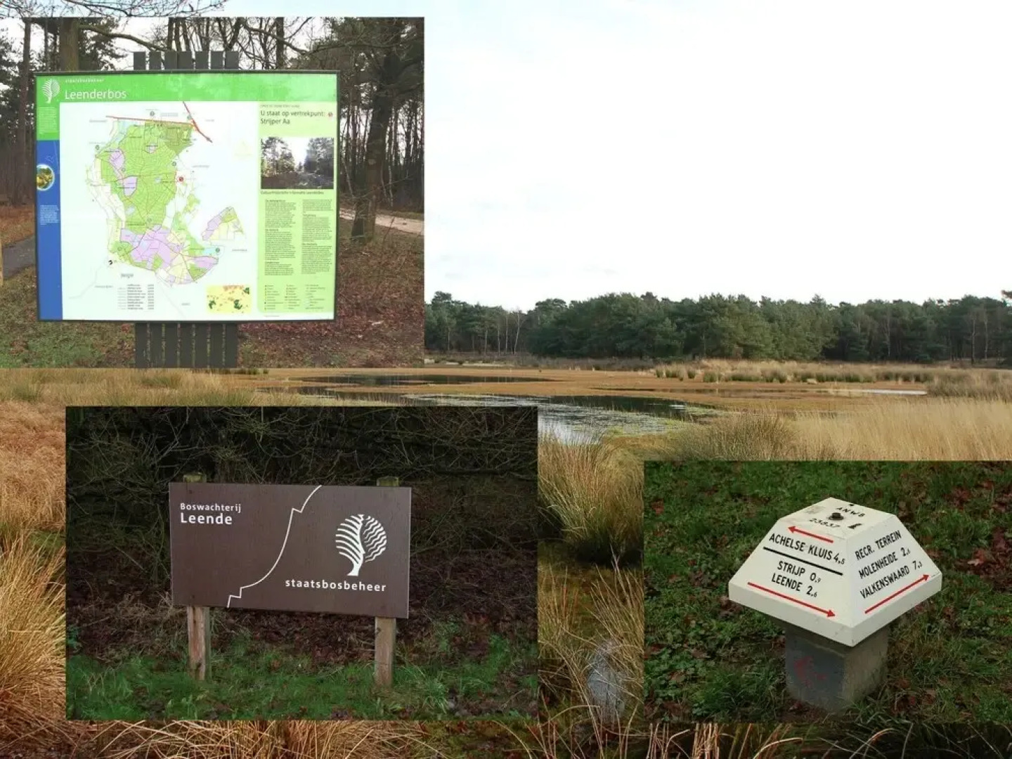 Spacious Farmhouse near Forest in Heeze-Leende