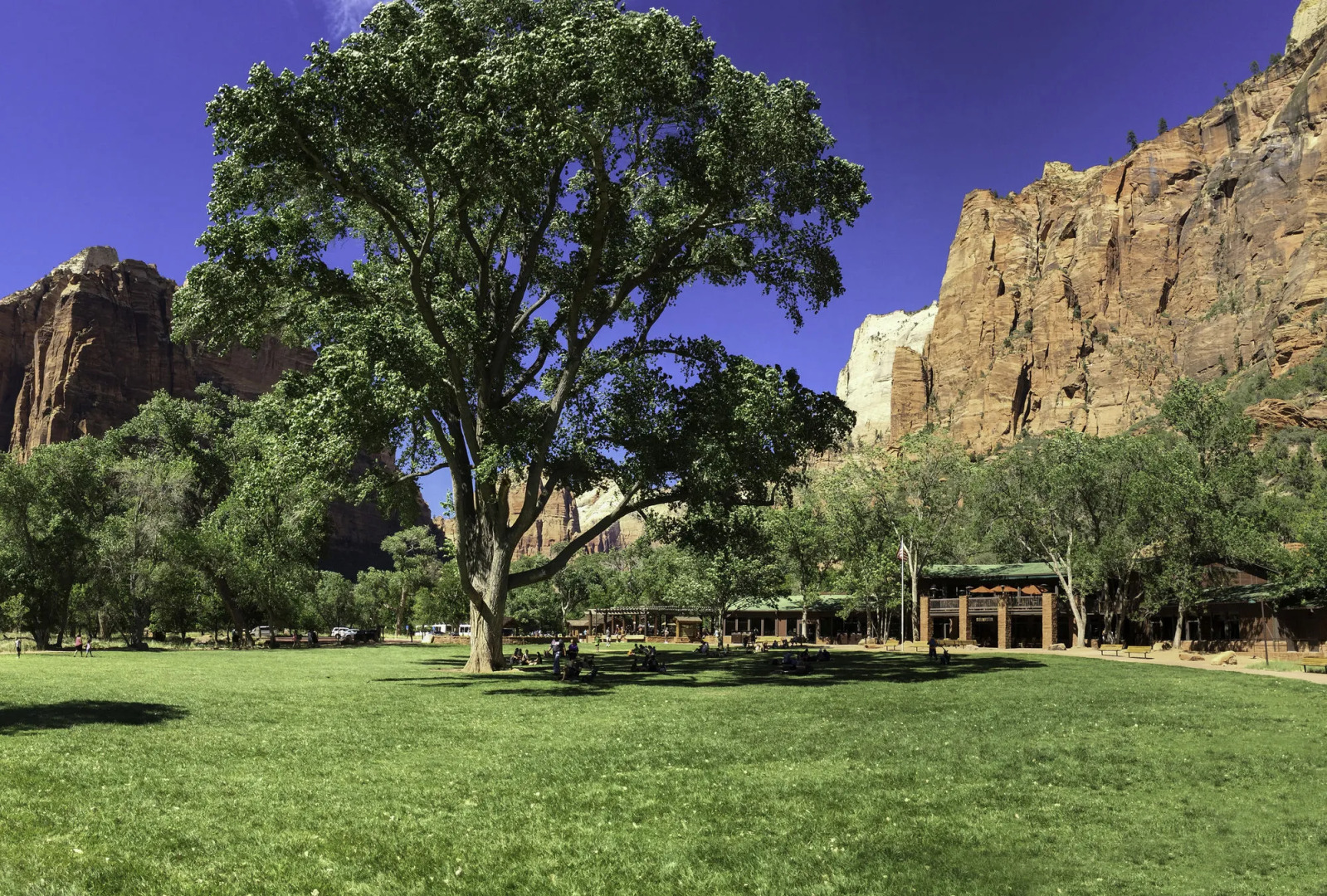 Zion Lodge - Inside the Park