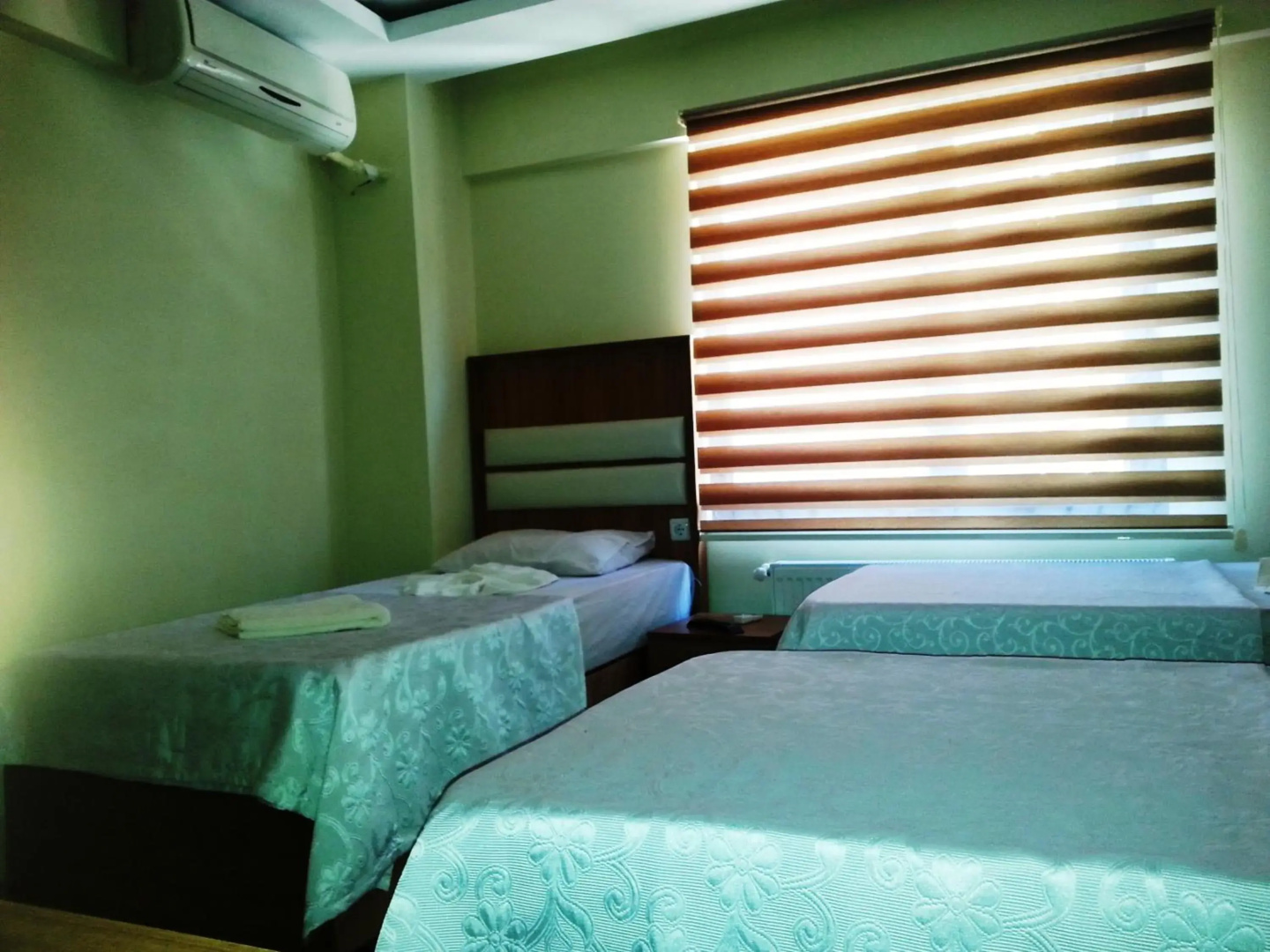 Hotel Torun