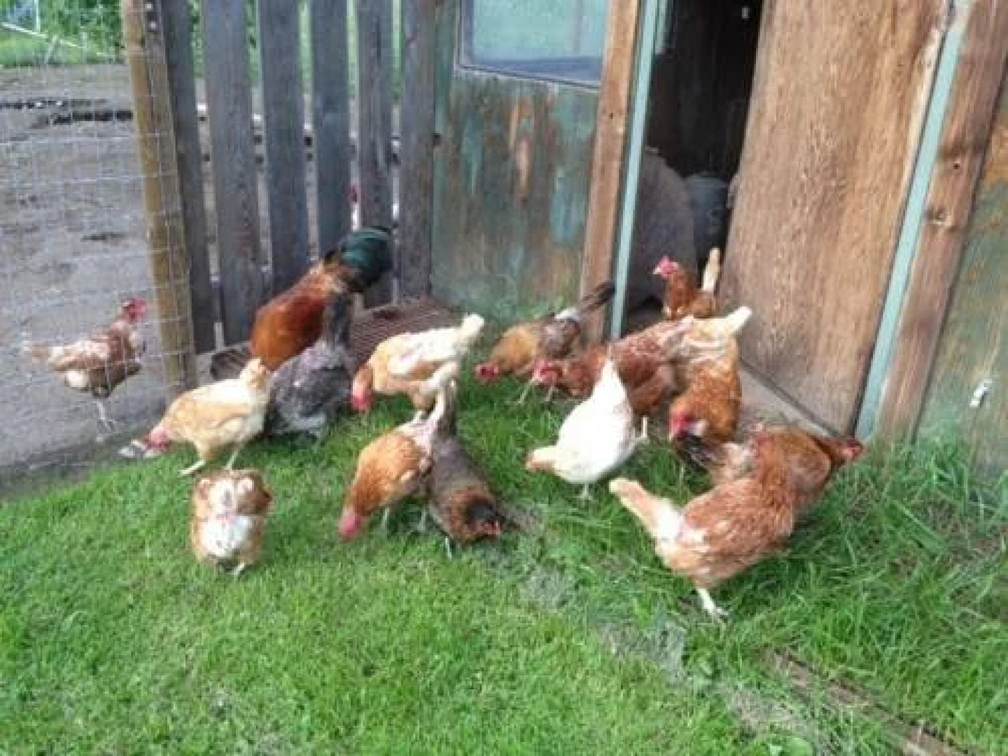 Half Moon Guest House