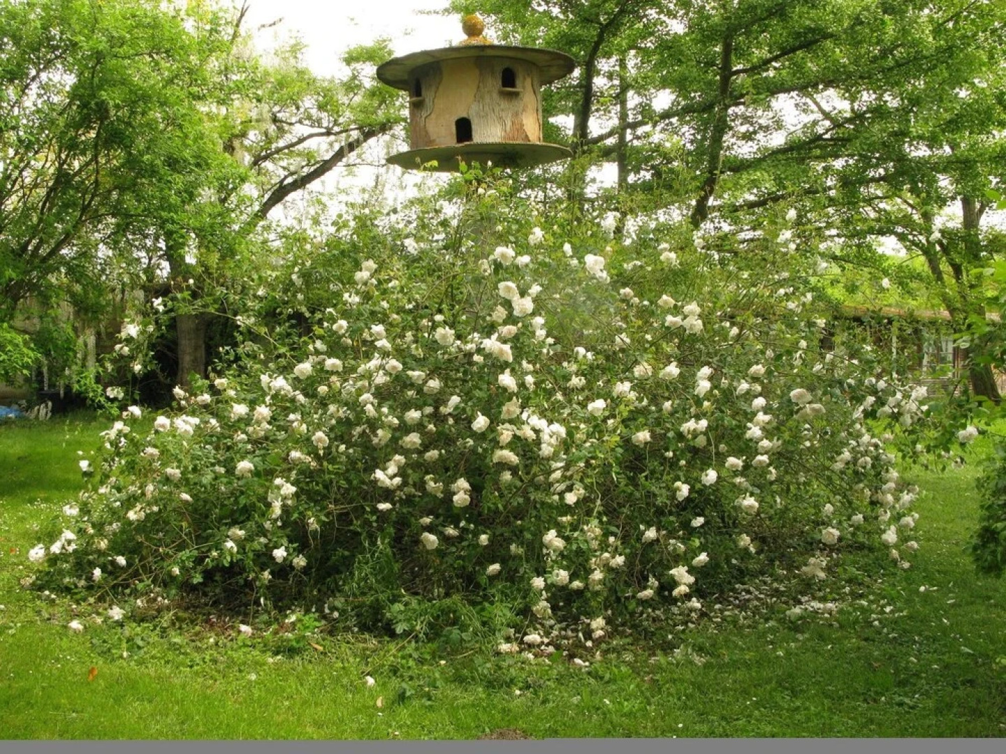 Property With 2 Bedrooms in Mauzac, With Enclosed Garden