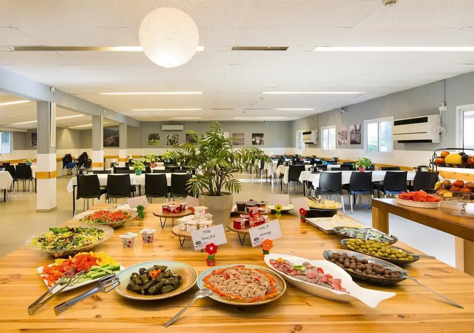 Kibbutz Moran Country Lodging