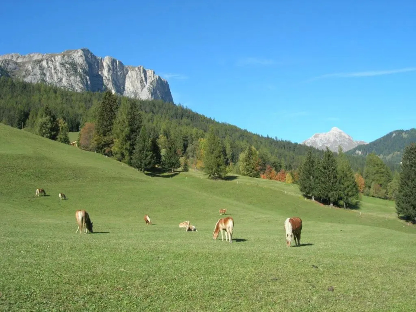 Hotel Arkadia - Adults Only