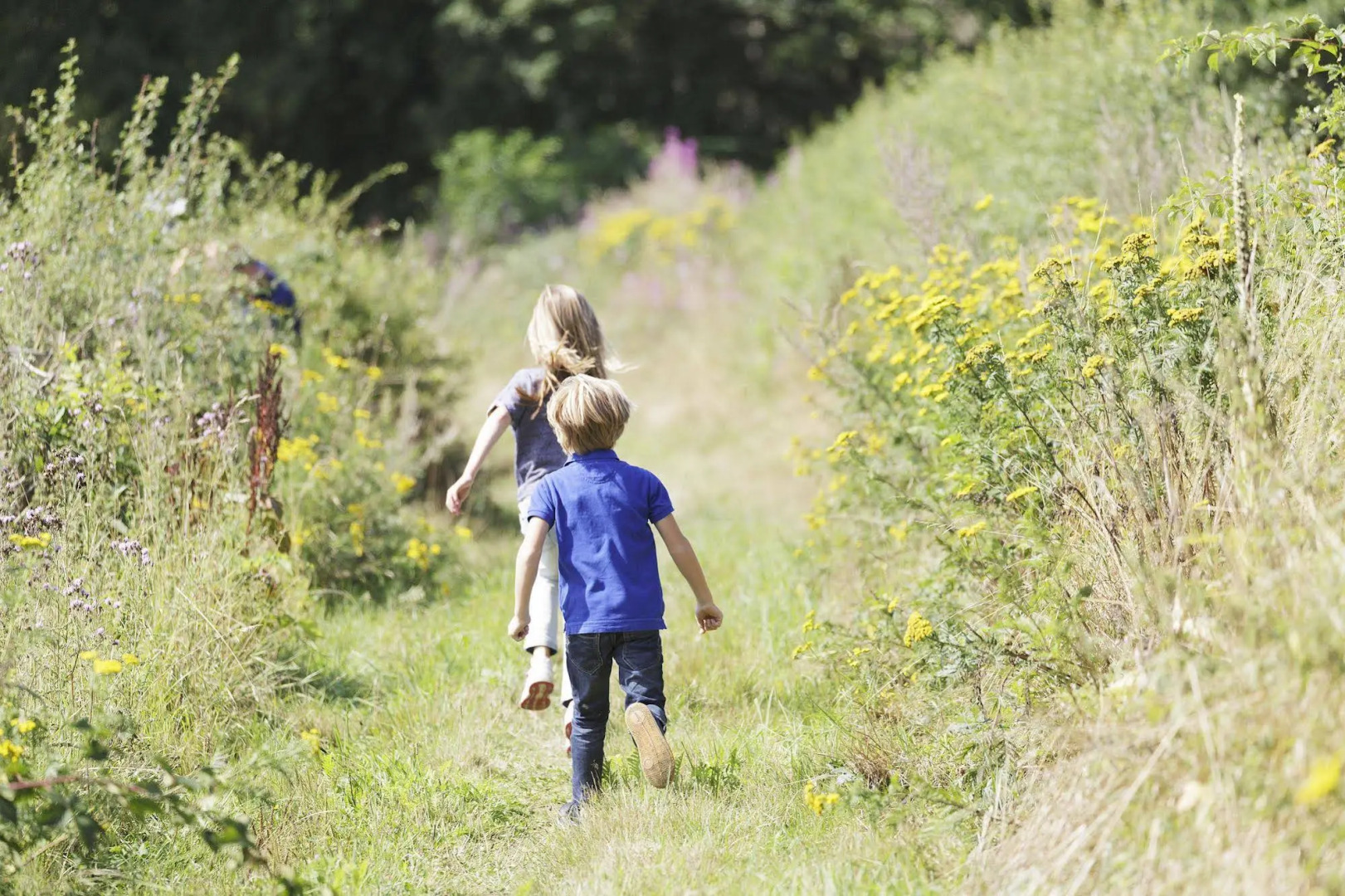 Pierre&Vacances Pont Royal les Coteaux