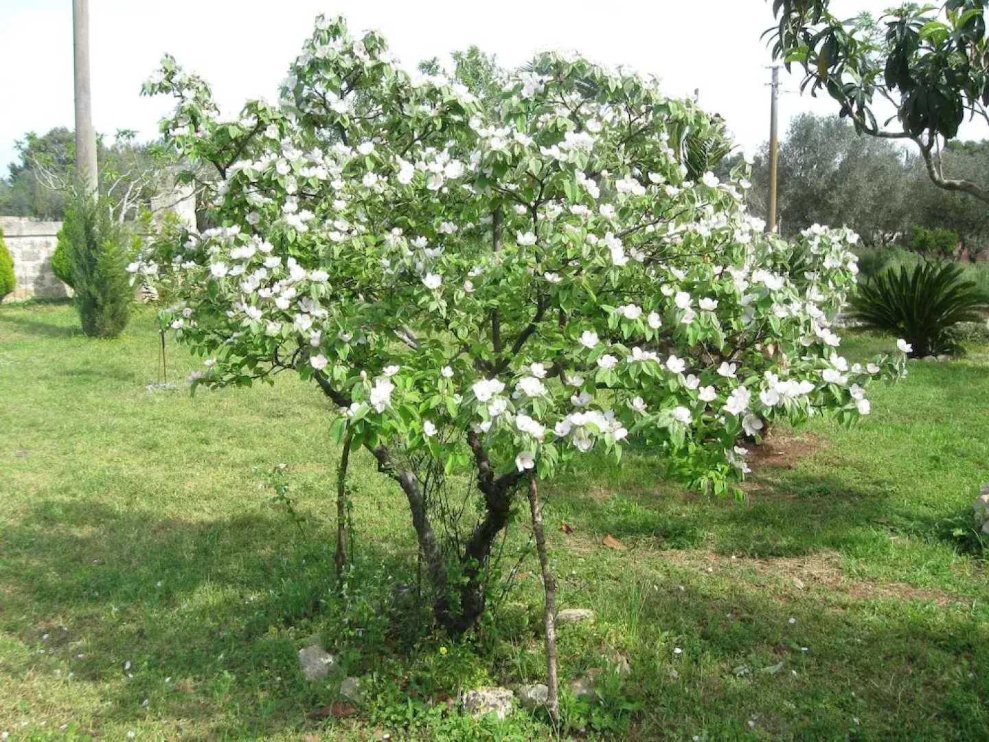 Bed & Breakfast Villa Rita