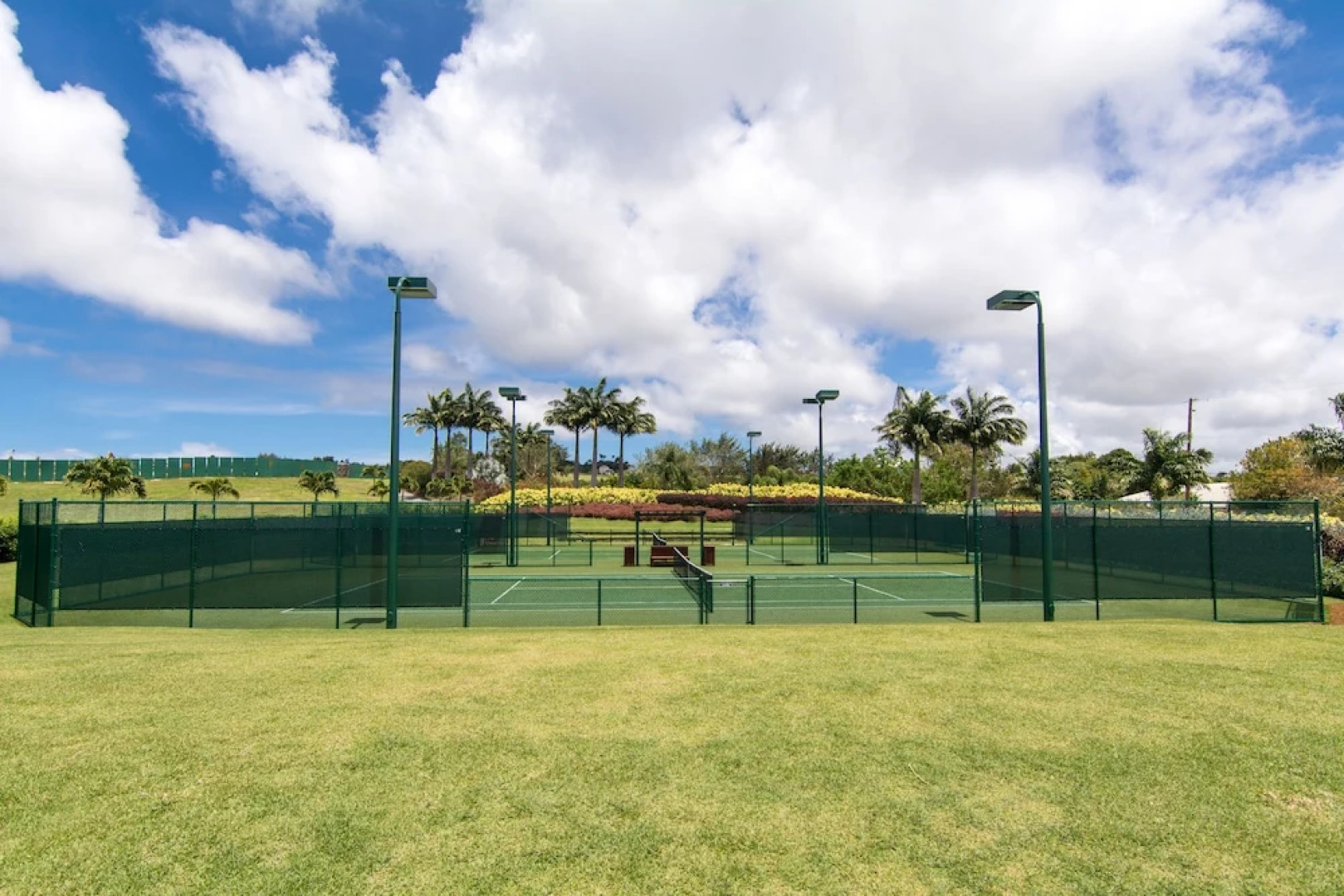 Apes Hill Golf and Polo Club