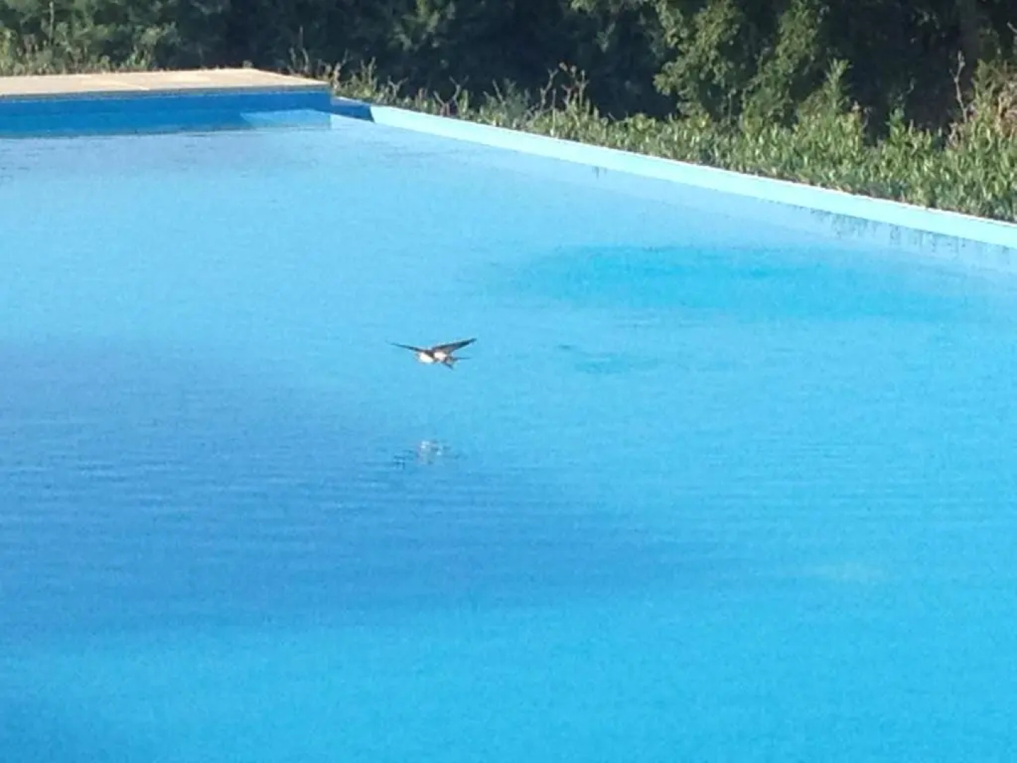 Monte das Texugueiras