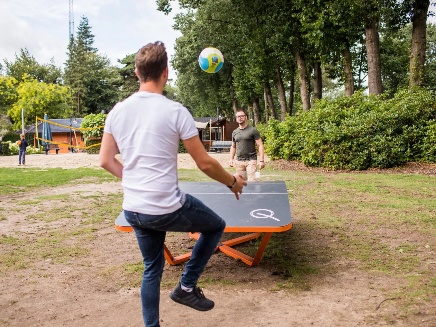 Well-maintained chalet with WiFi in a holiday park close to Park De Veluwe