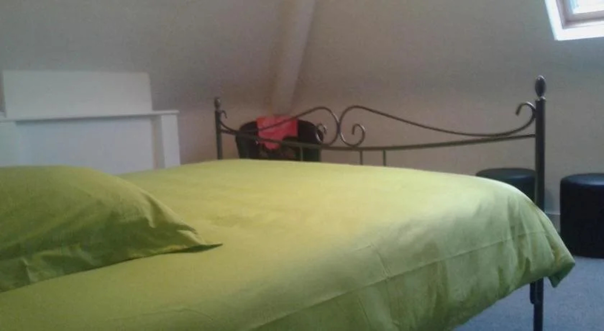 Lodge The City Jester