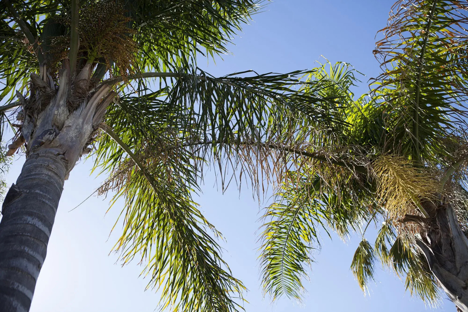 Echuca Moama Holiday Villas