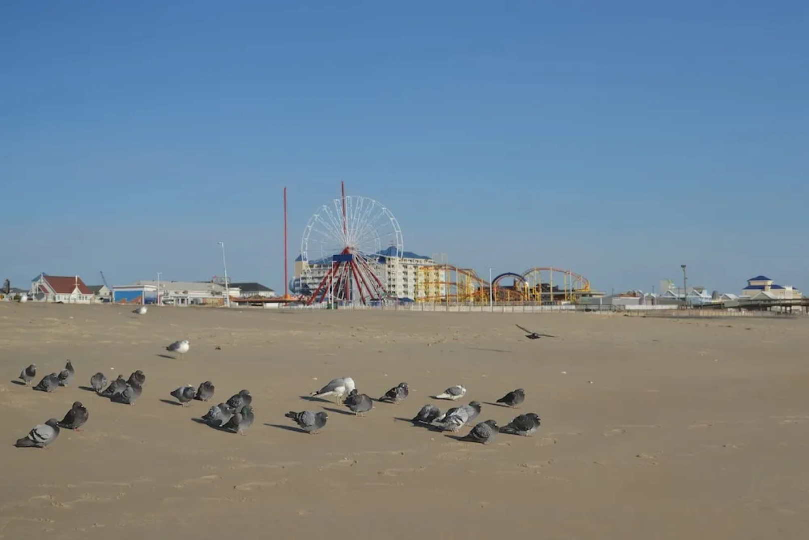 Newly Renovated, Minutes From Ocean City, Assateague Island 4 Bedroom Home