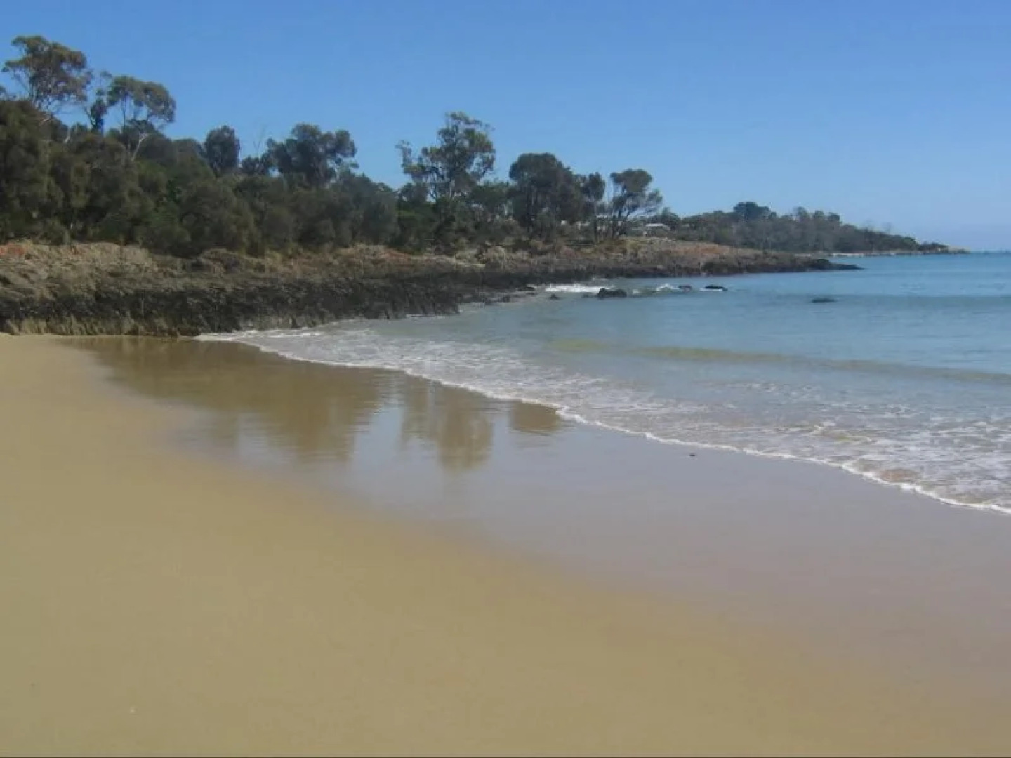 116 Westwood - Bridport Accommodation