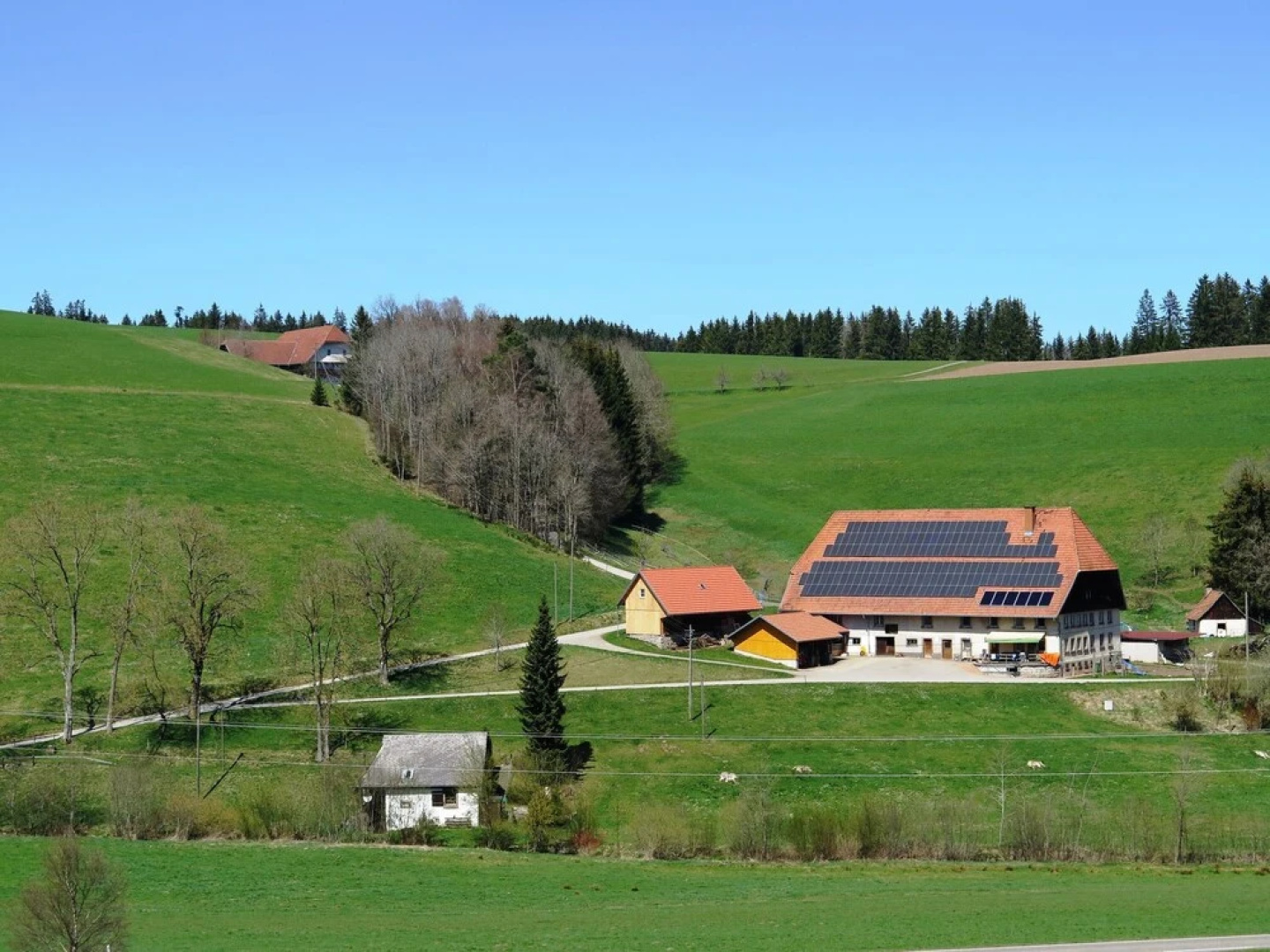 Ferienhaus, Schwarzwald