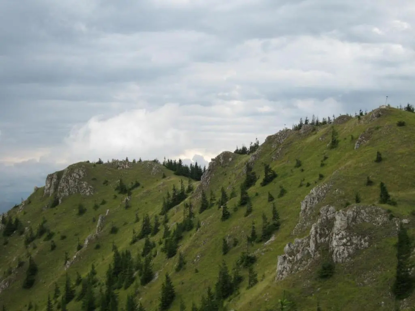 Vidra Park