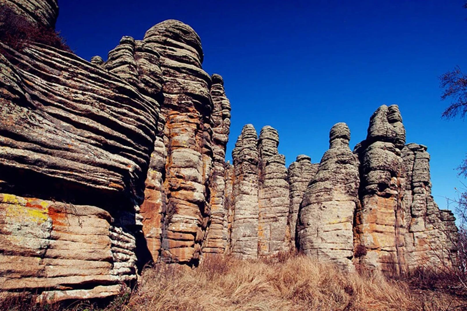 Xilingol Auspicious Horses